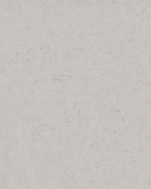 Motion Grey