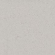 Motion Grey